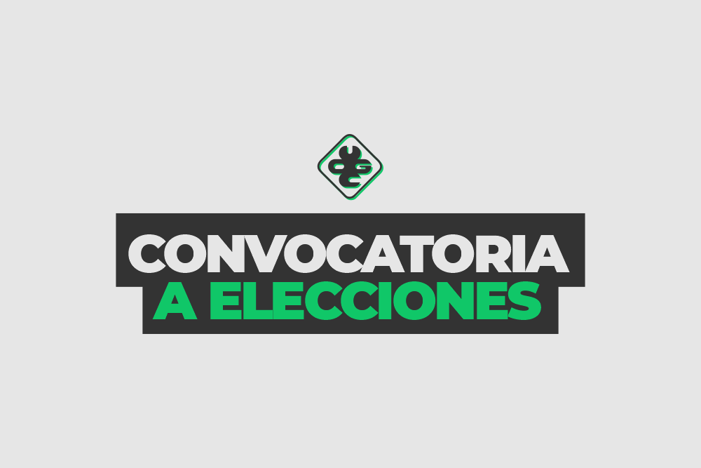 Convocatoria a Elecciones 2024